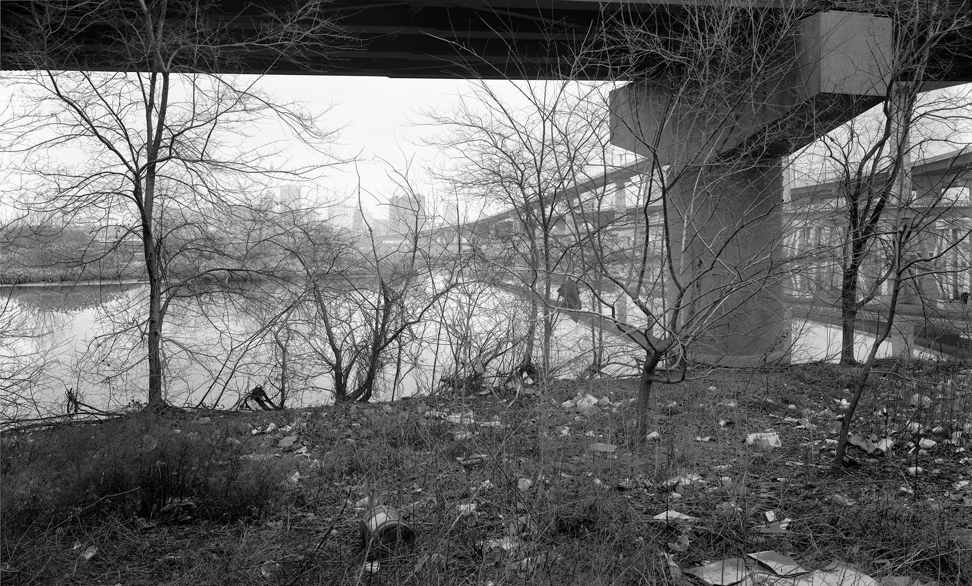 Middle Harbor Through Trees