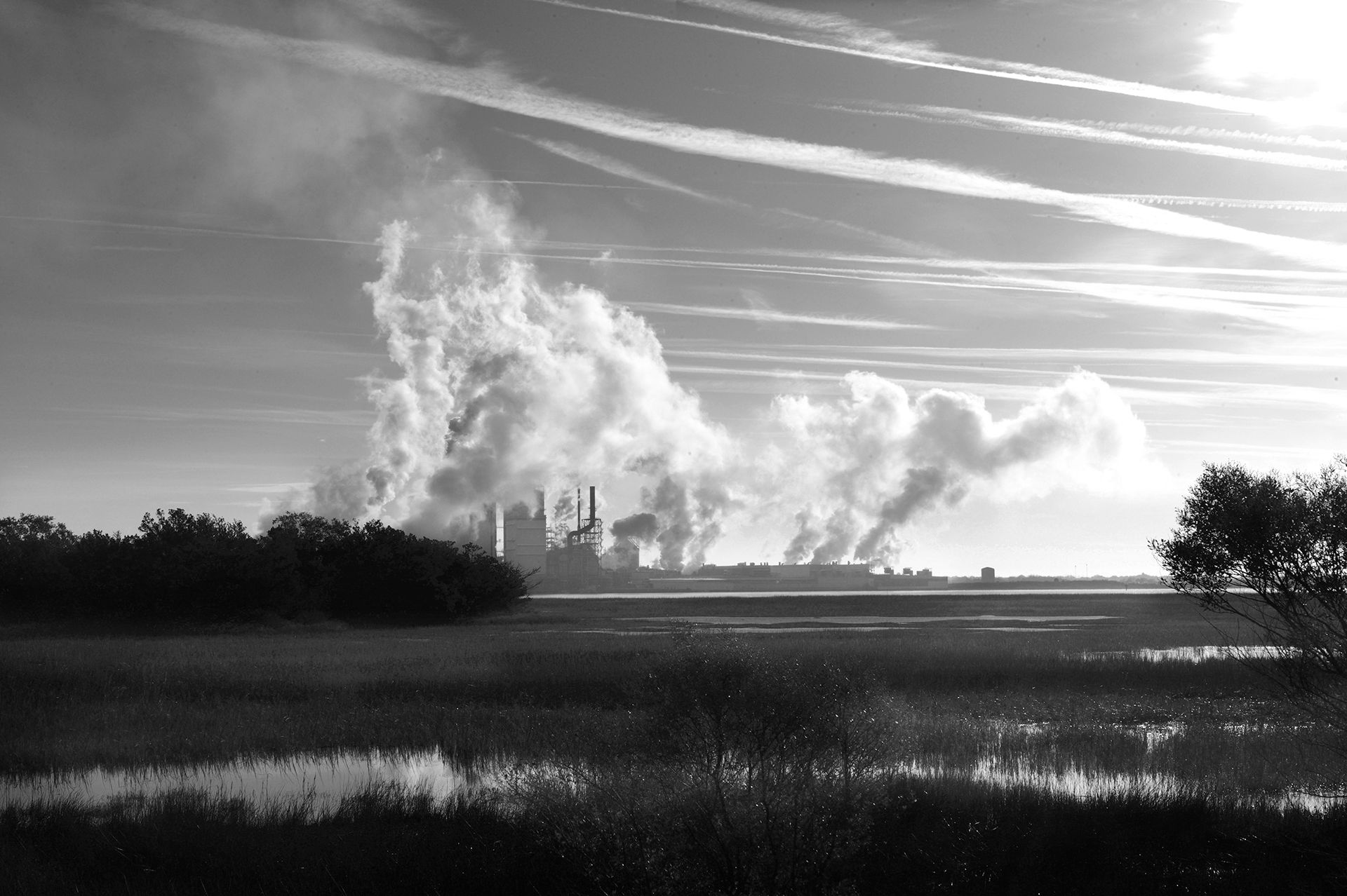 Paper Plant Brunswick