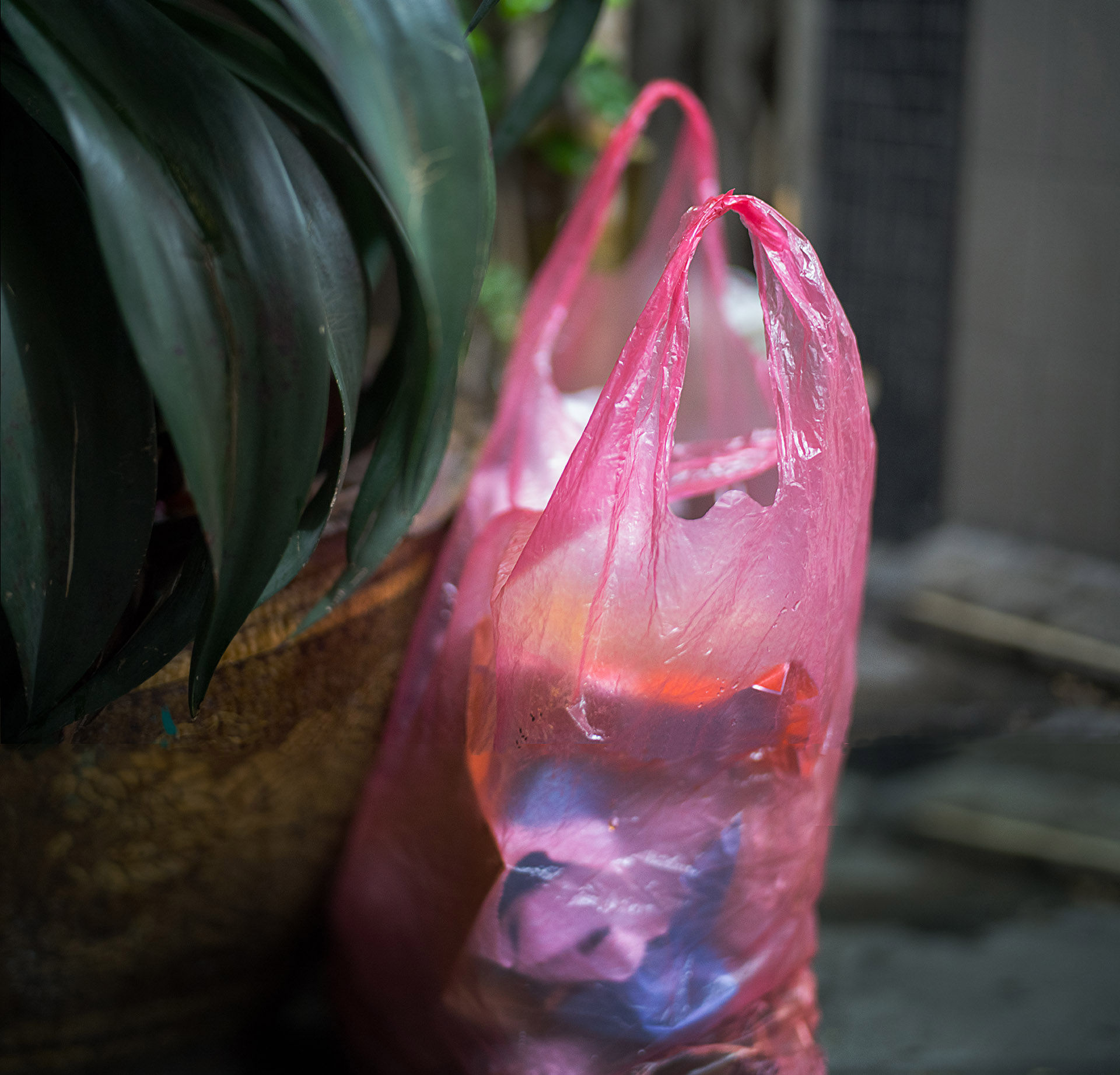 Pink Bag on Ground