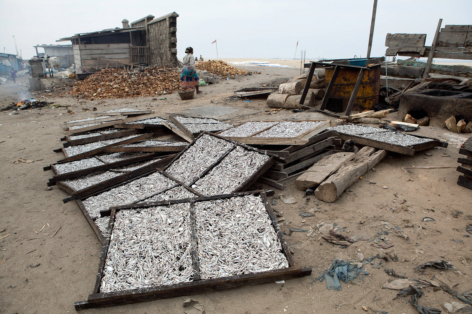 Fish on Drying Screens, Jamestown