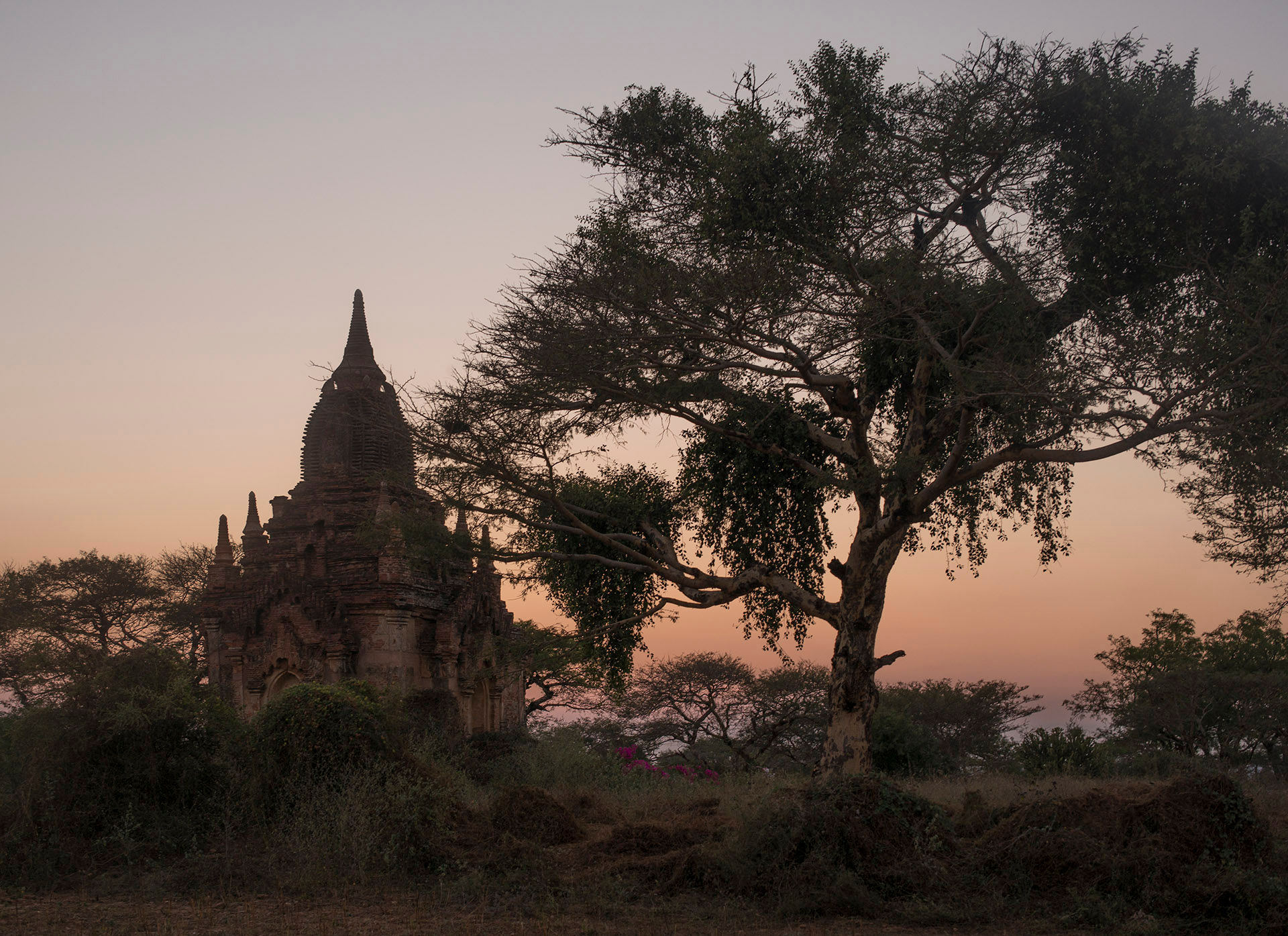 Bagan Sunset Temple