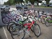 Authorized Bicycle Retail / Online Biz For Sale