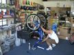 Authorized Bicycle Retail / Online Biz For Sale