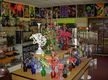 Respected Smoke Shop In North Oc Location