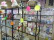 Cards/gifts/balloons.  Wirral
