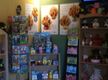Nf Gifts/collectable