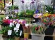Florist
