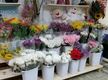 Florist