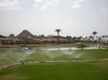 Lawn Biz Landscaping