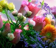 Established Florist Shop For Sale, $45,000