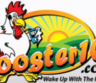 Profitable Internet Radio Station Rooster 101 Radio Llc