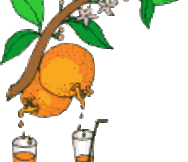 Juice Bar Franchise - San Joaquin County 