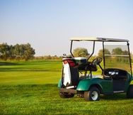 Golf Cart Sales And Service Business For Sale