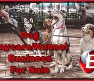 Popular Dog Daycare And Boarding Business In Pennsylvania 