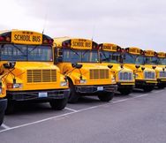 School Buses