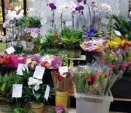 Florist