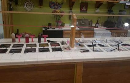 Custom Made Frozen Yogurt Shop $95,000 Tampa Florida