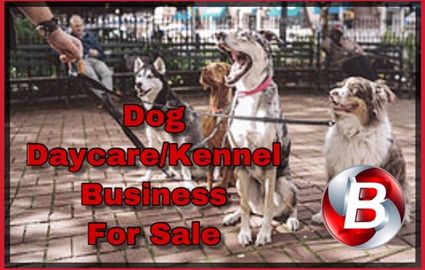 Popular Dog Daycare And Boarding Business In Pennsylvania 