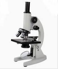 Microscope