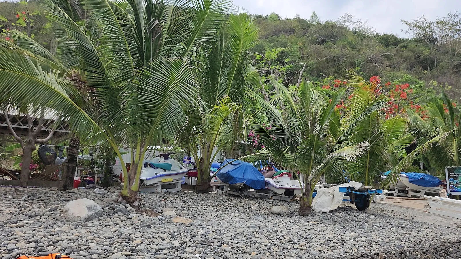 Bãi Tranh — ảnh tham khảo 5