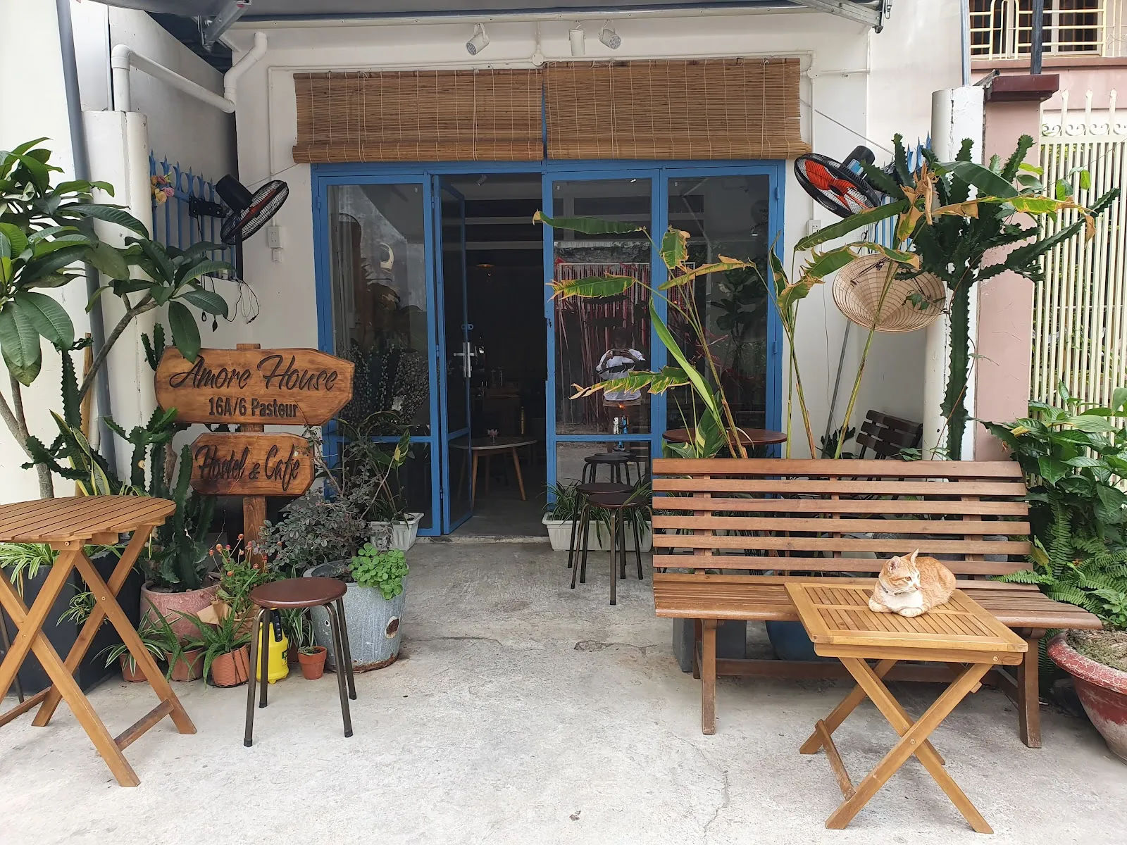 Amore Gardens — cafe thú cưng — ảnh tham khảo 1