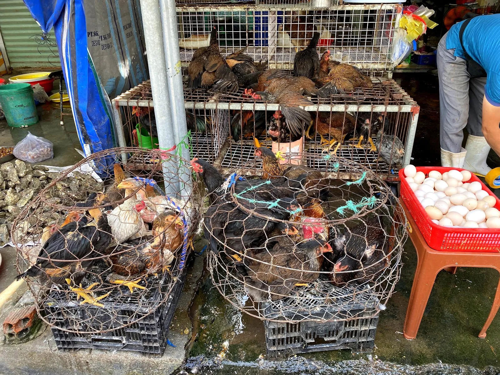 Chợ Xóm Mới — ảnh tham khảo 2