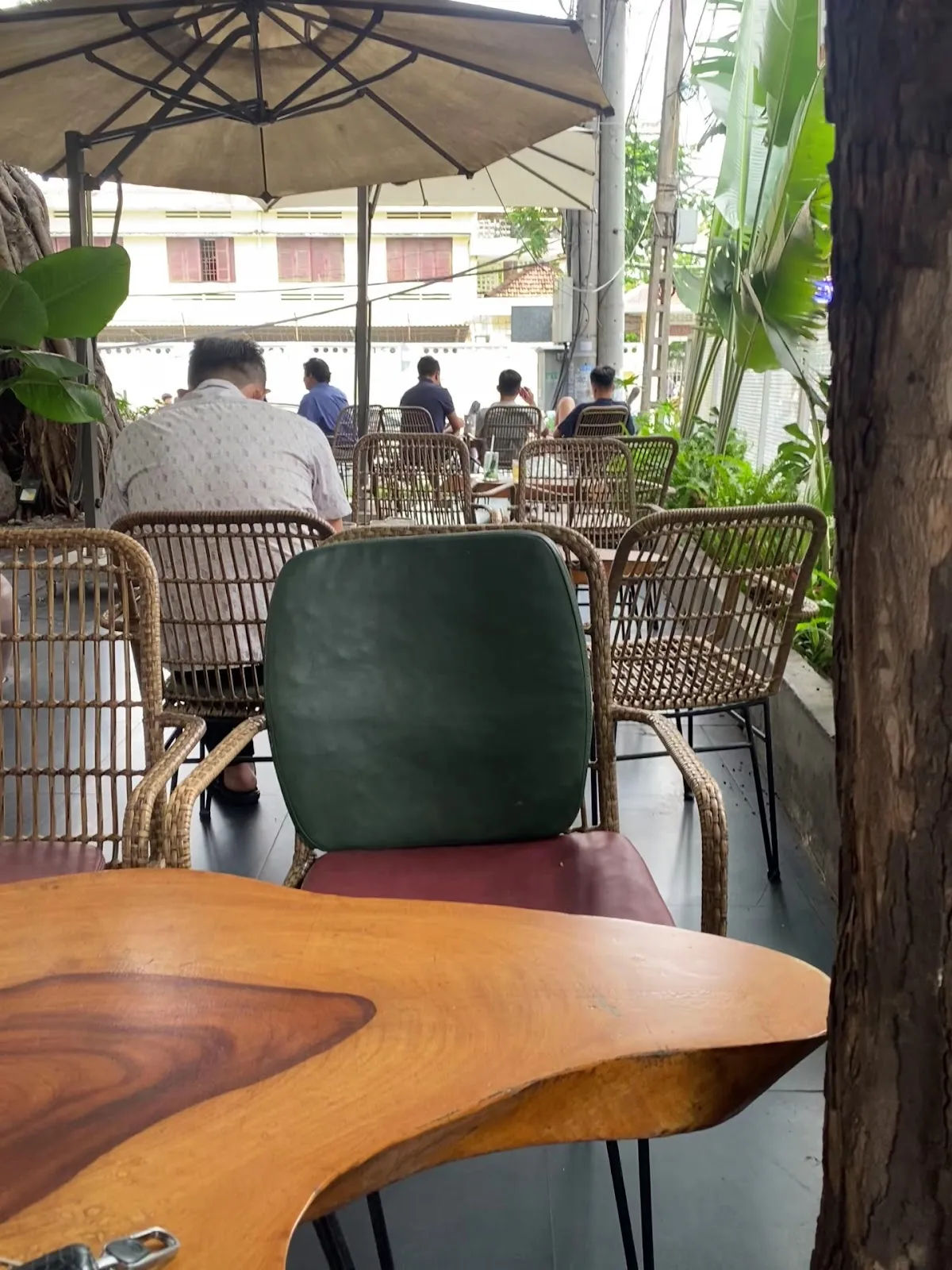 Huyền Thoại Núi Cà Phê — ảnh tham khảo 3
