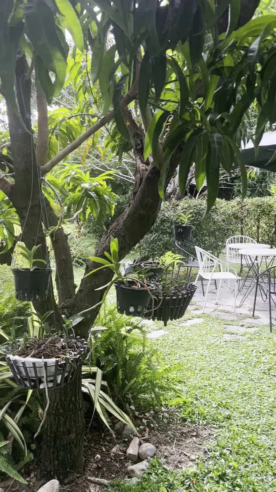 Nhà Hàng Quê 79 — ảnh tham khảo 2