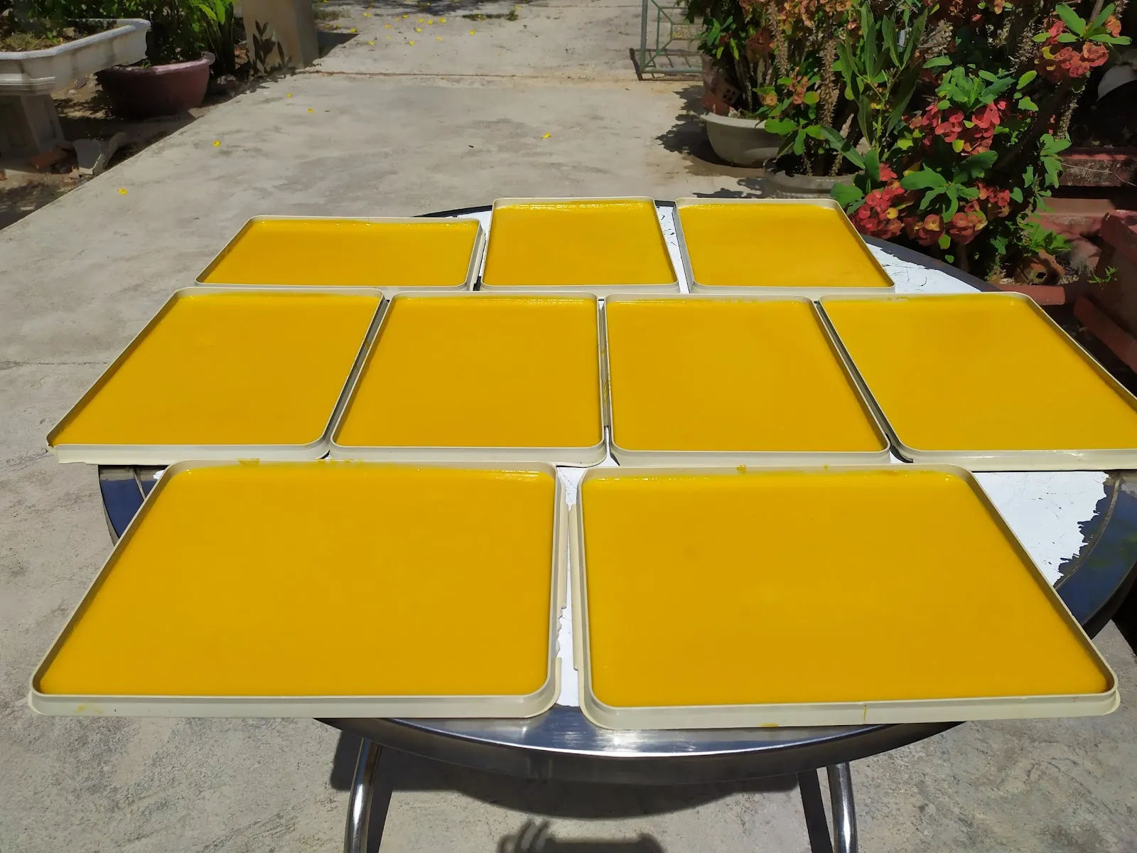 Bánh tráng xoài — 16B Cổ Loa — ảnh tham khảo 2