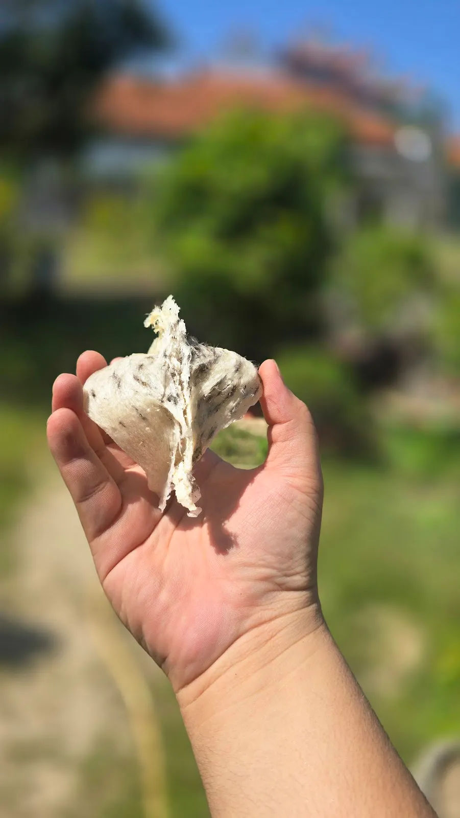 Yến sào Lidanest — ảnh tham khảo 3
