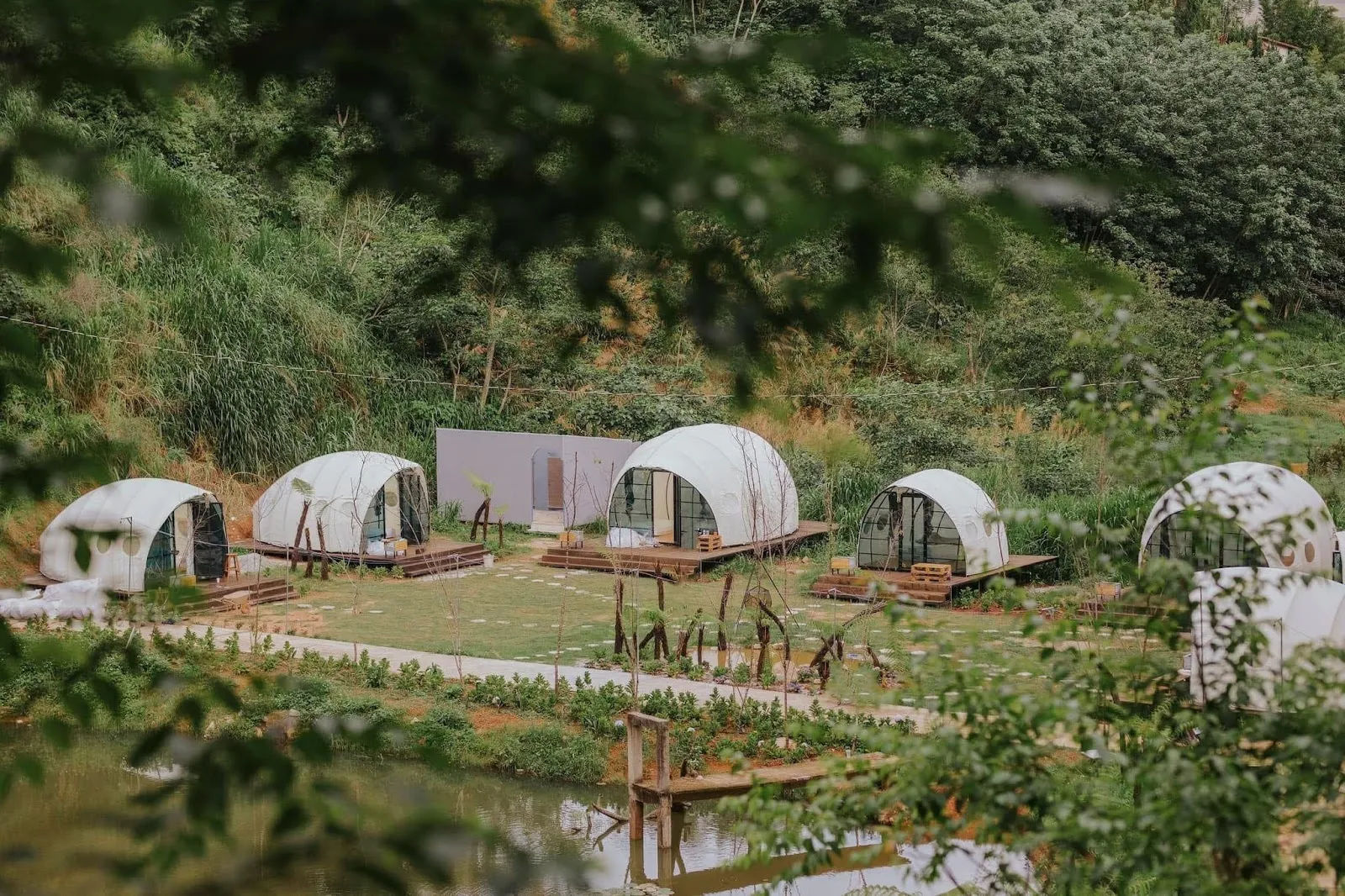 Forest Scent — Glamping & Camping — ảnh tham khảo 1