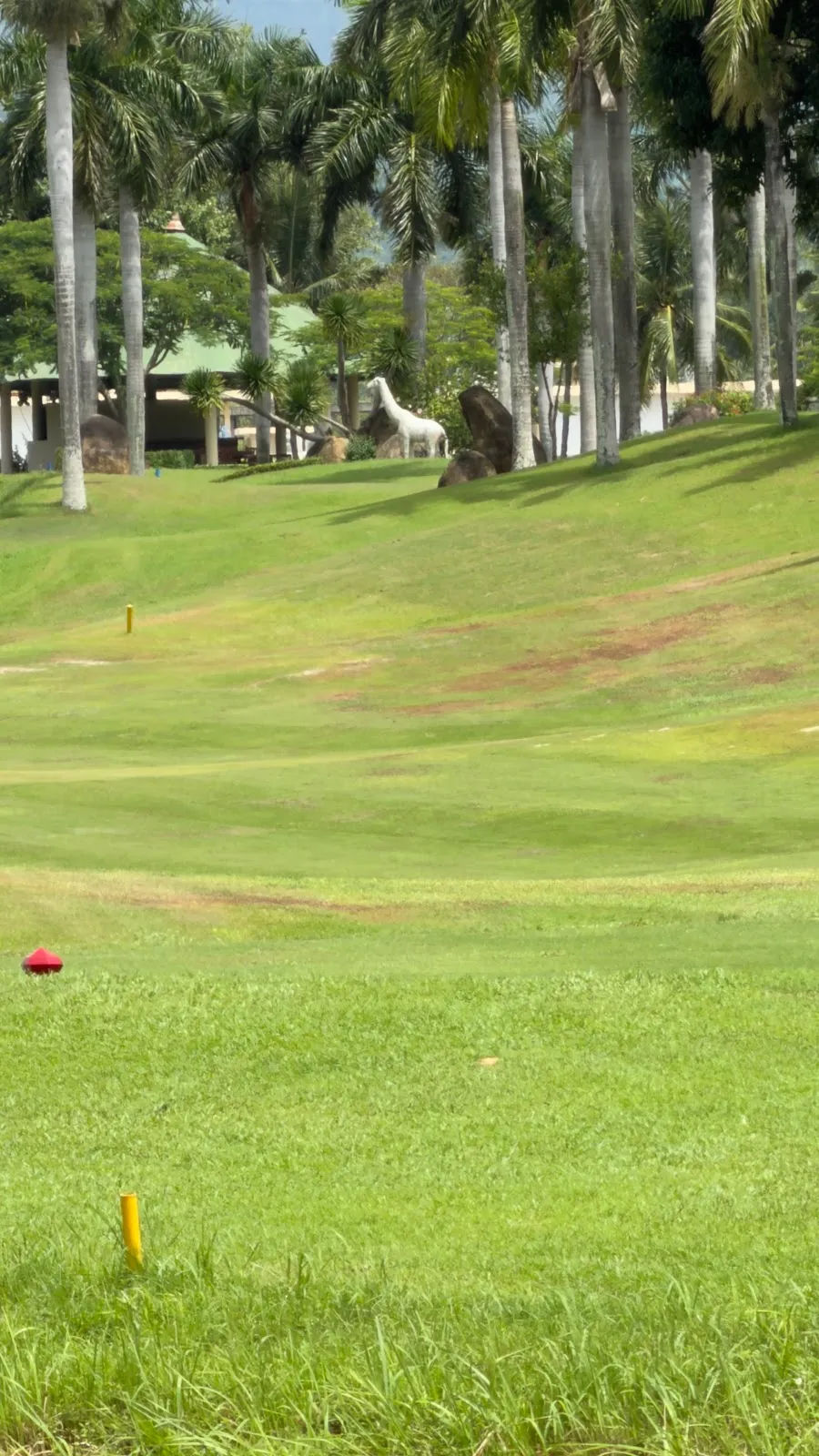 Diamond Bay Golf & Villas — ảnh tham khảo 2