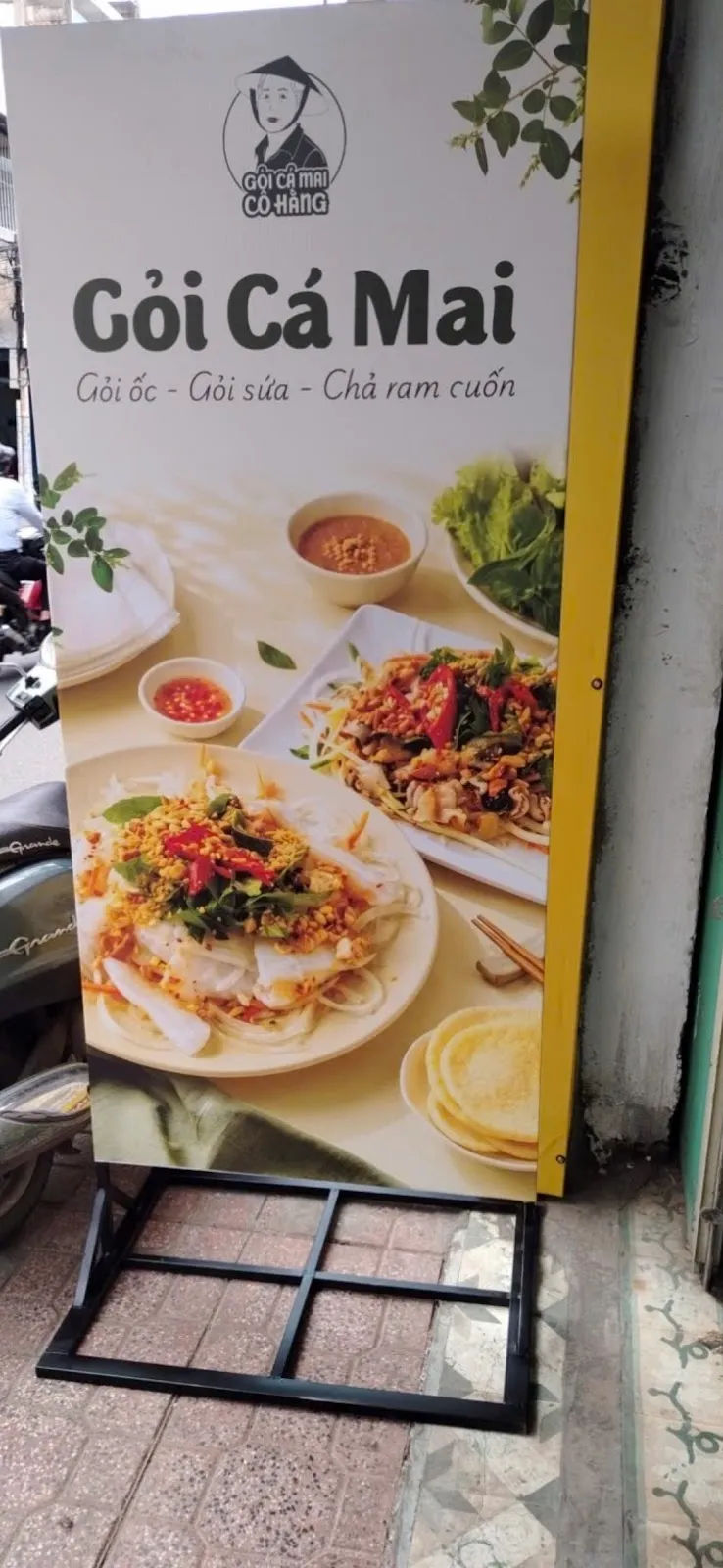 Goi Ca Mai Co Hang — Tran Quy Cap — reference photo 2