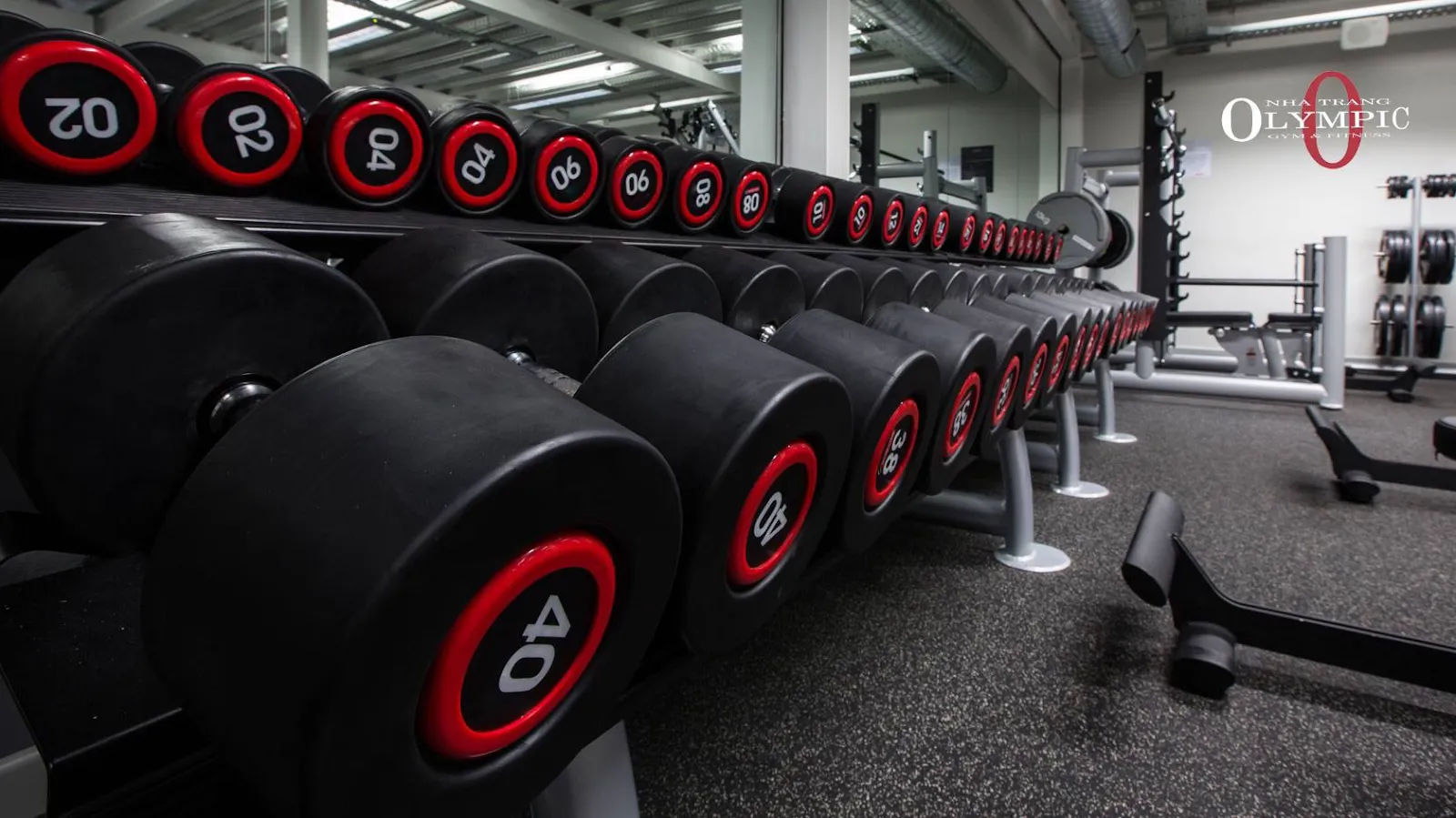 Olympic Gym & Fitness — ảnh tham khảo 1