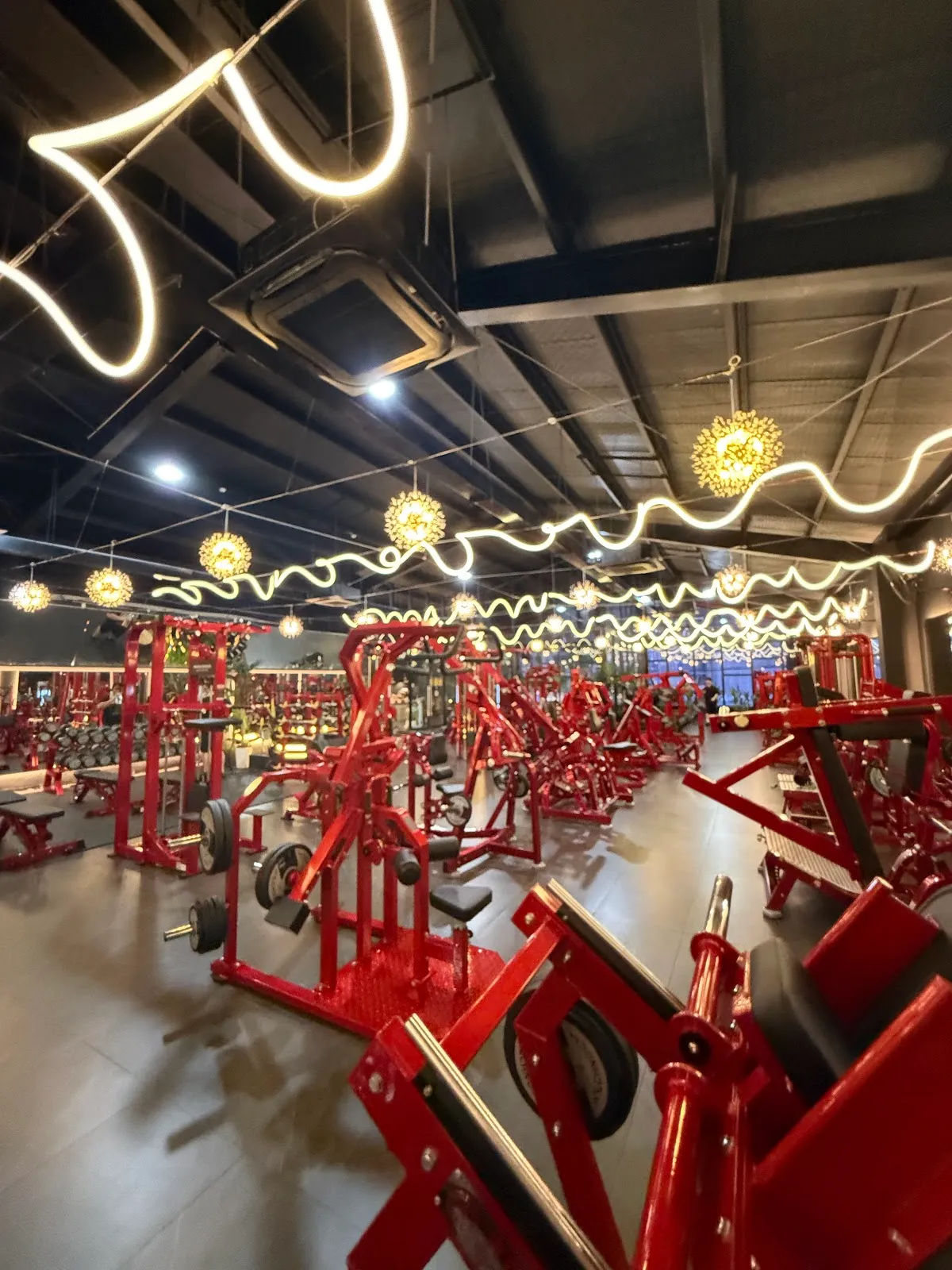 Thổ Gym — ảnh tham khảo 2
