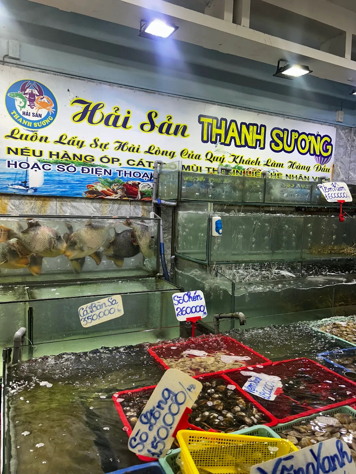 Quán Hải Sản Thanh Sương — ảnh tham khảo 6