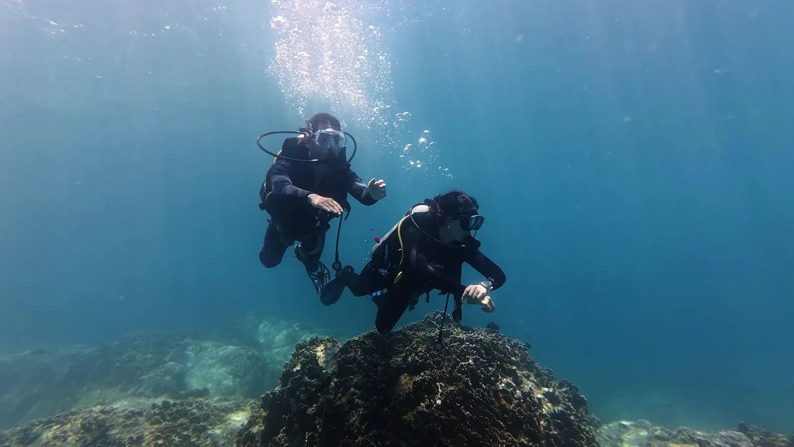 Delight Diving — ảnh tham khảo 2