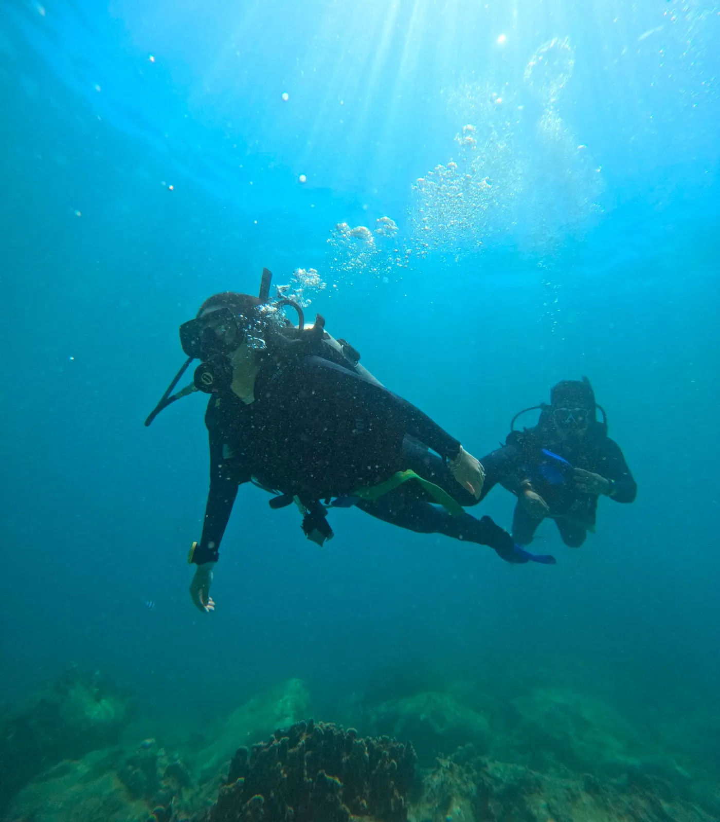 Delight Diving — ảnh tham khảo 3