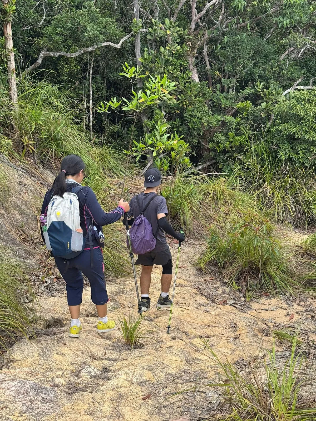 Hoàng Ngưu Sơn — ảnh tham khảo 2