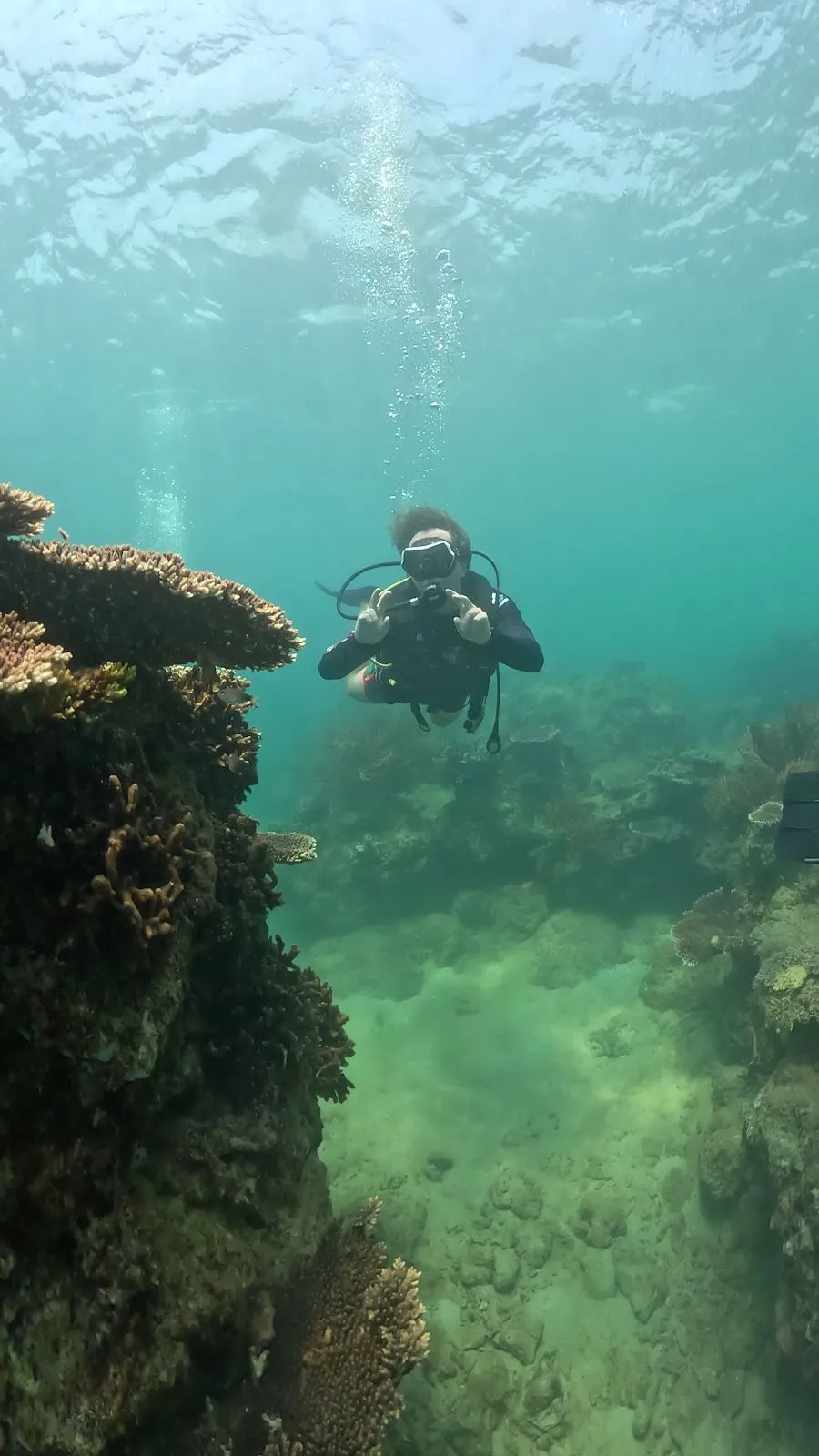 Diving Academy LevelUp — ảnh tham khảo 2