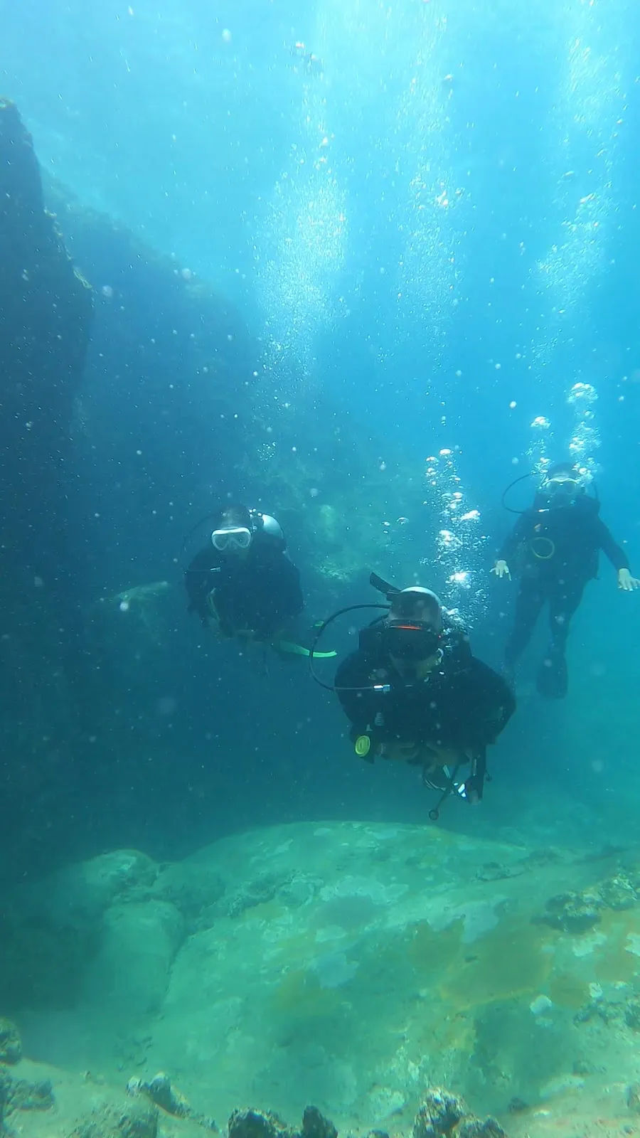 Vietnam Diving and Training — ảnh tham khảo 1