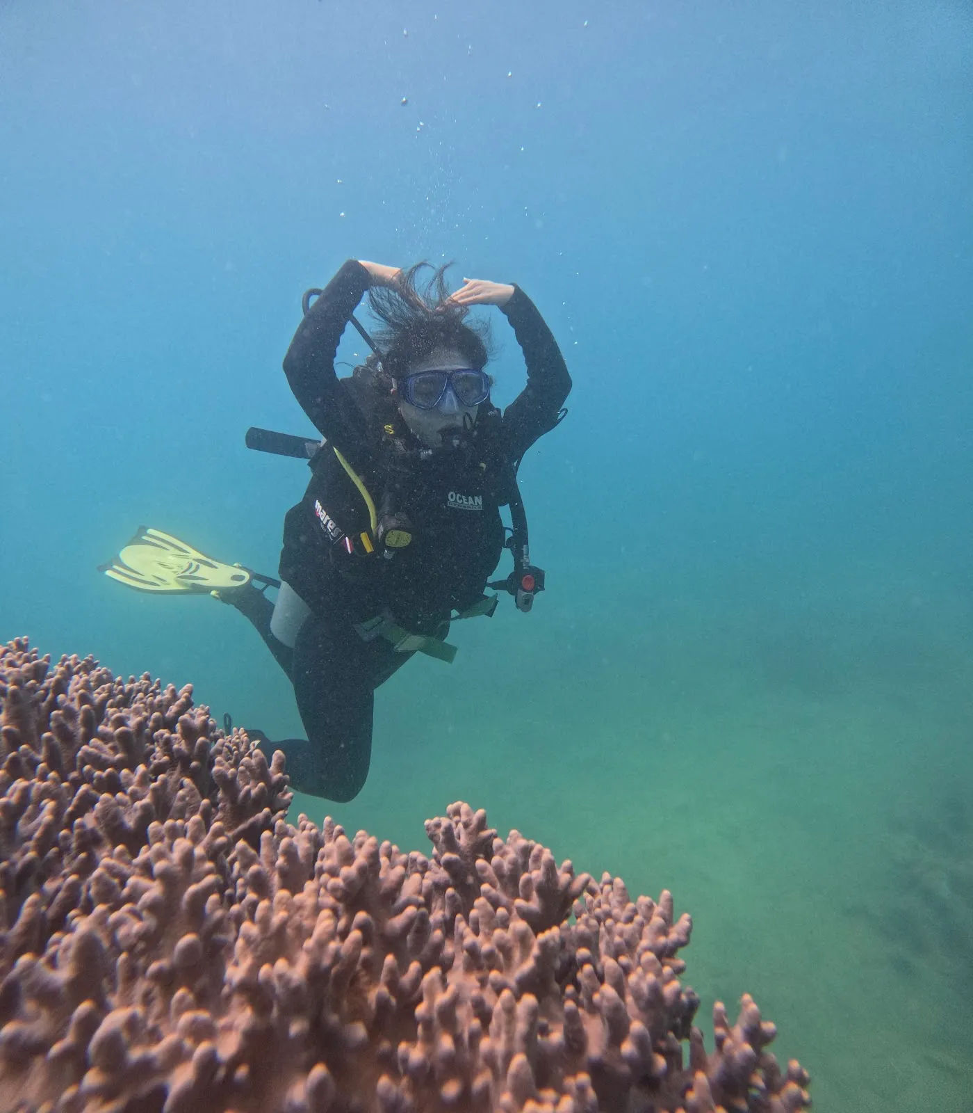 Vietnam Diving and Training — ảnh tham khảo 2