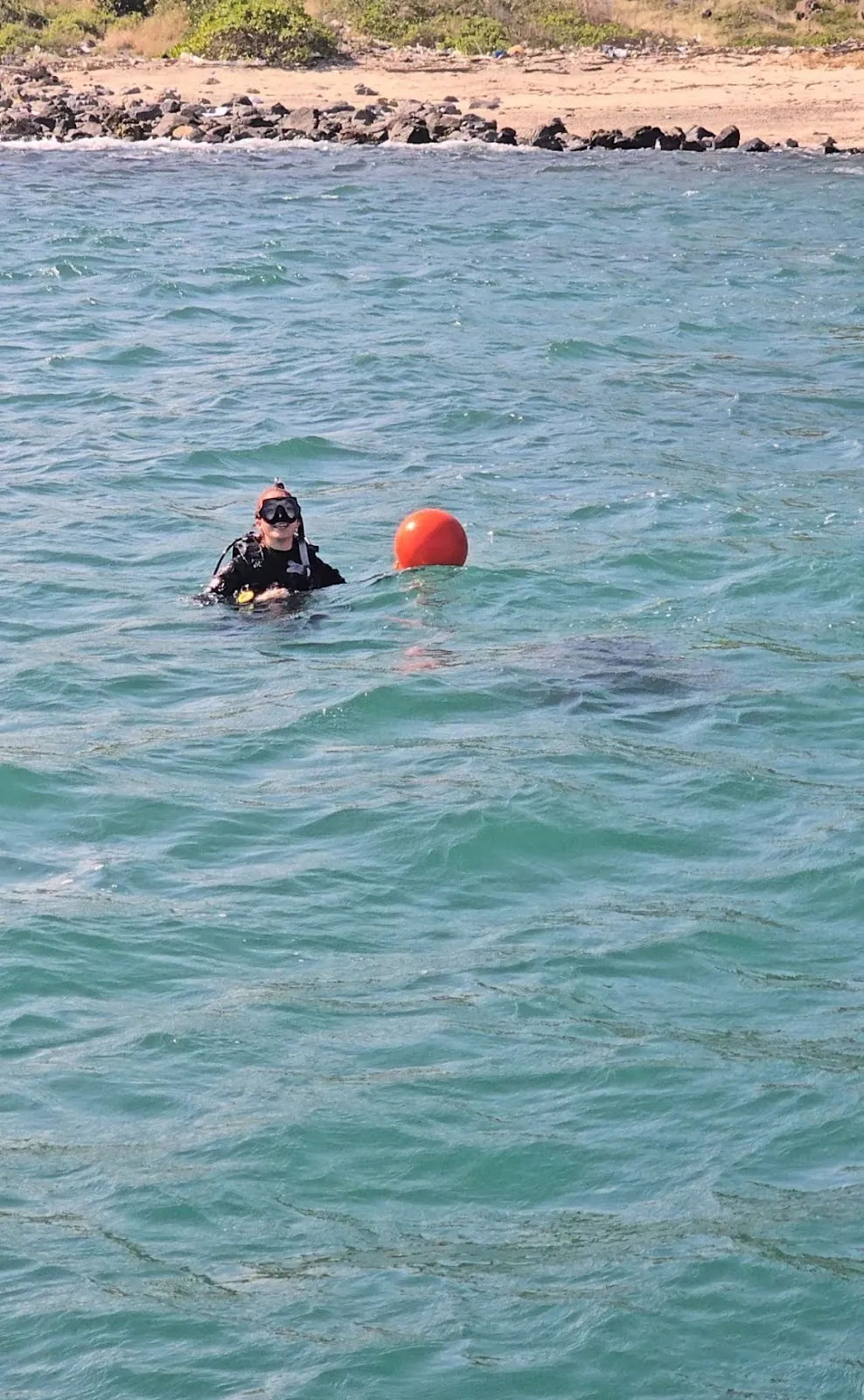 Vietnam Diving and Training — ảnh tham khảo 3
