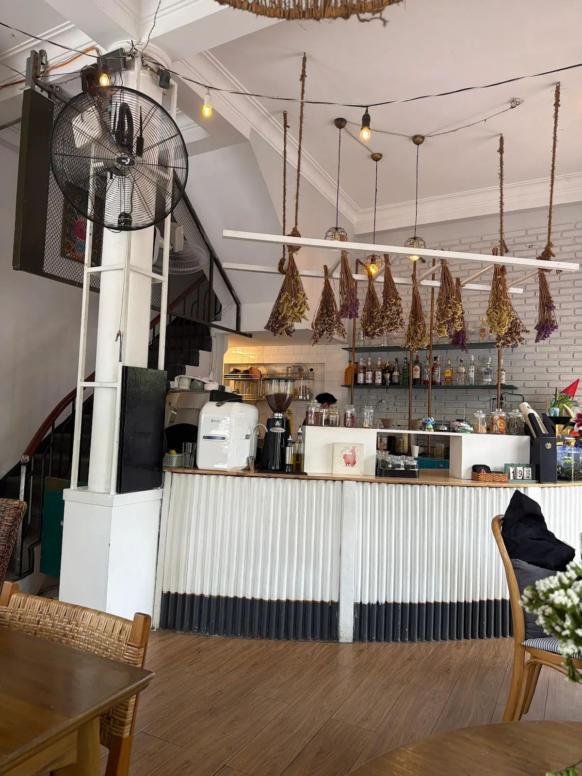 Alpaca — ảnh tham khảo 3