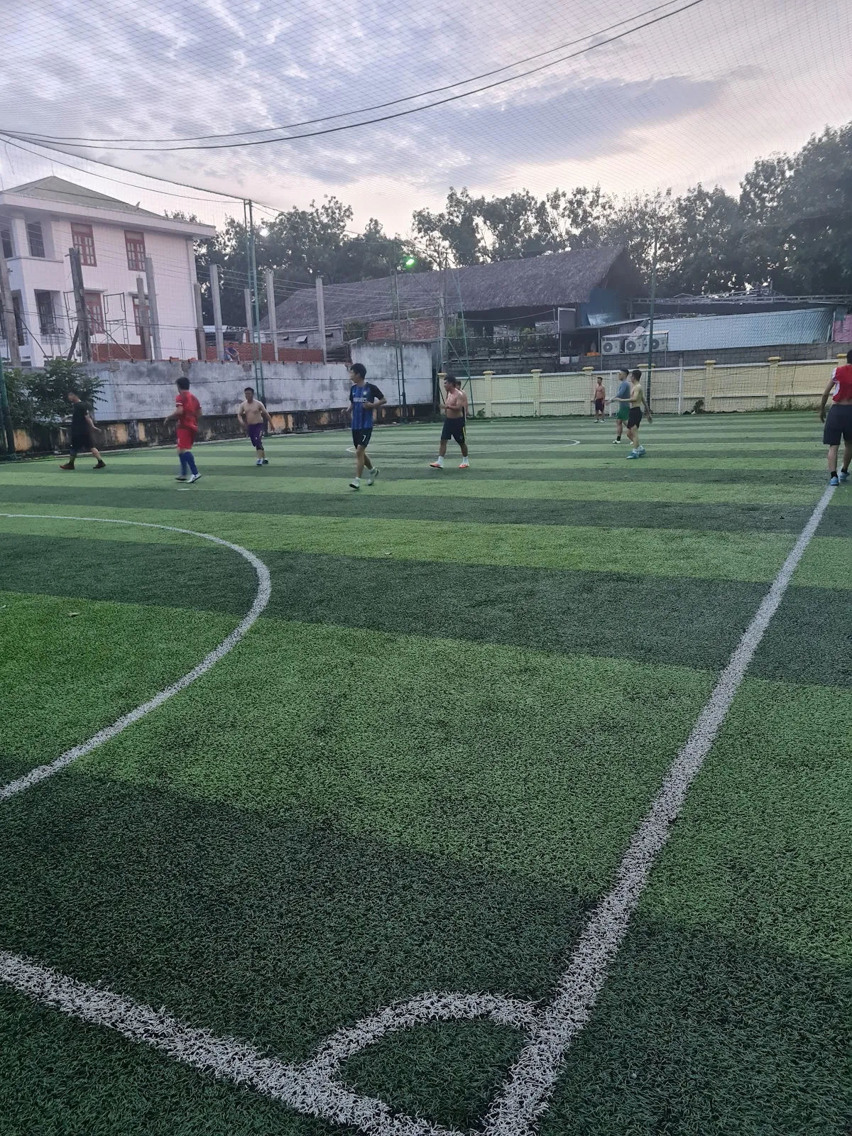 Sân cỏ nhân tạo 305 — ảnh tham khảo 1