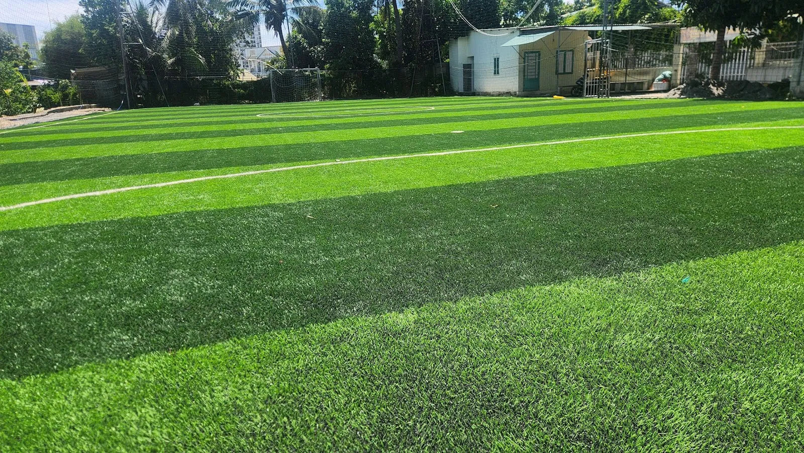 Sân cỏ nhân tạo TCD Sport — ảnh tham khảo 1