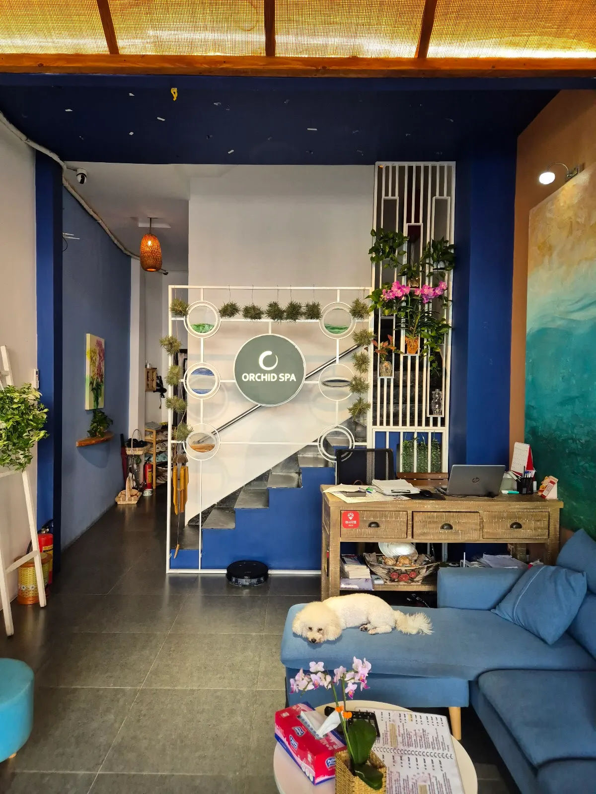 Spa Orchid — ảnh tham khảo 1