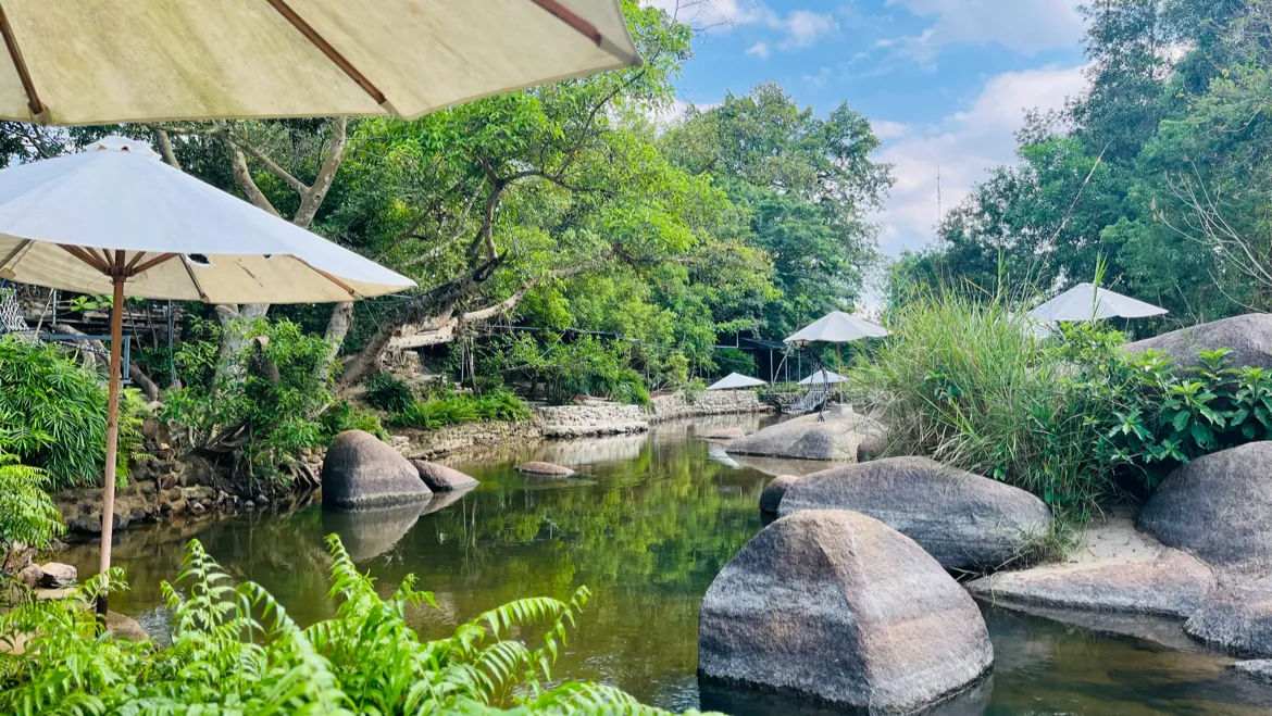 Suối Mơ Dốc Tình Glamping & Retreat — ảnh tham khảo 1