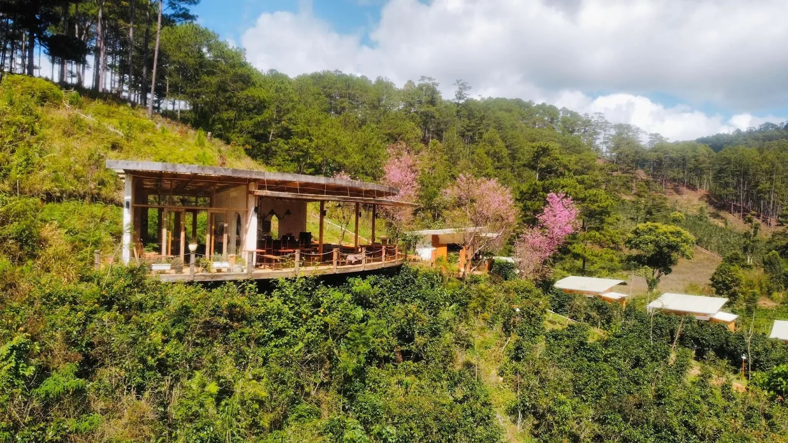 Twin Beans Farm — ảnh tham khảo 1