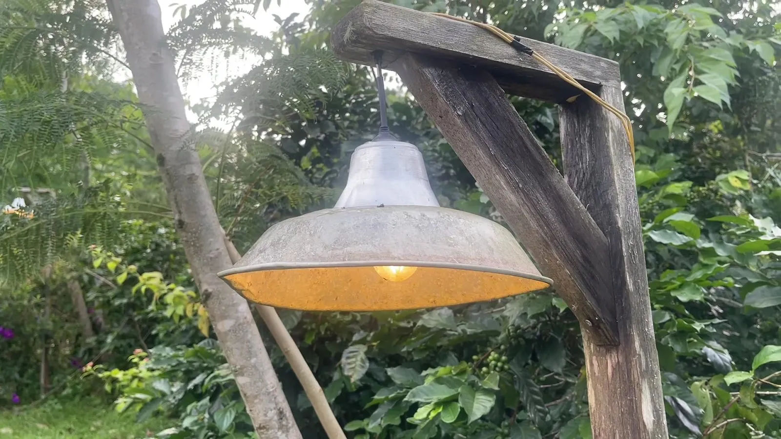 Twin Beans Farm — ảnh tham khảo 2